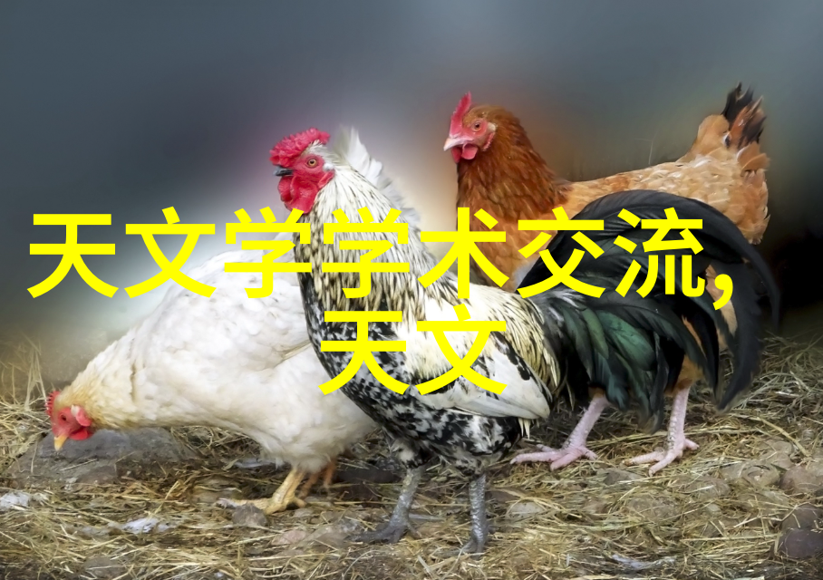 雷蒙机的工作原理是什么它是如何对作物进行精确处理的