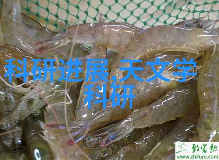 PE管材生产厂家电话专业咨询与采购服务