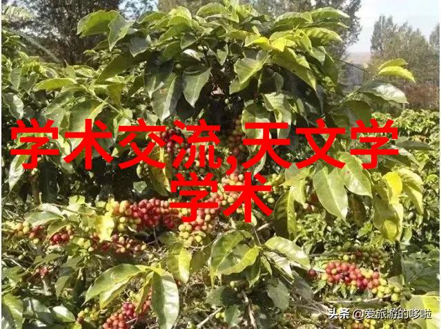 石家庄财经职业学院的未来发展方向是什么