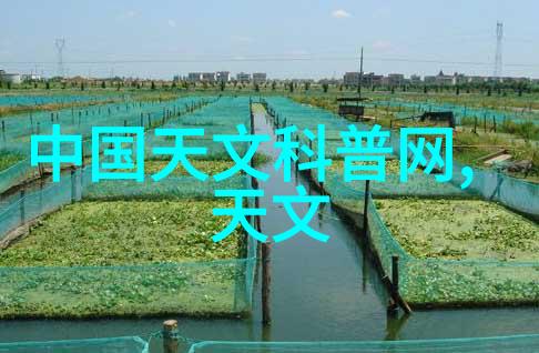 东方财经市场风云变幻中的智慧探索