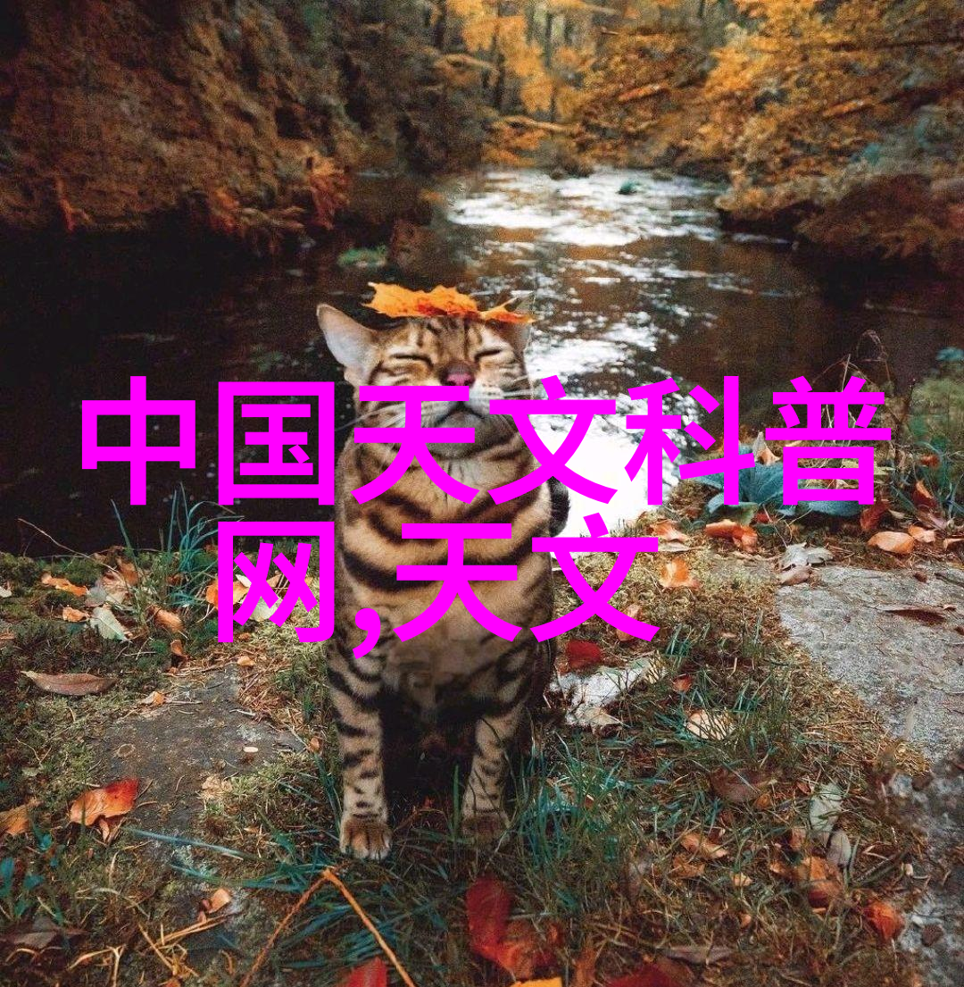 化工冷气贮藏设备我是如何让物流更省心的