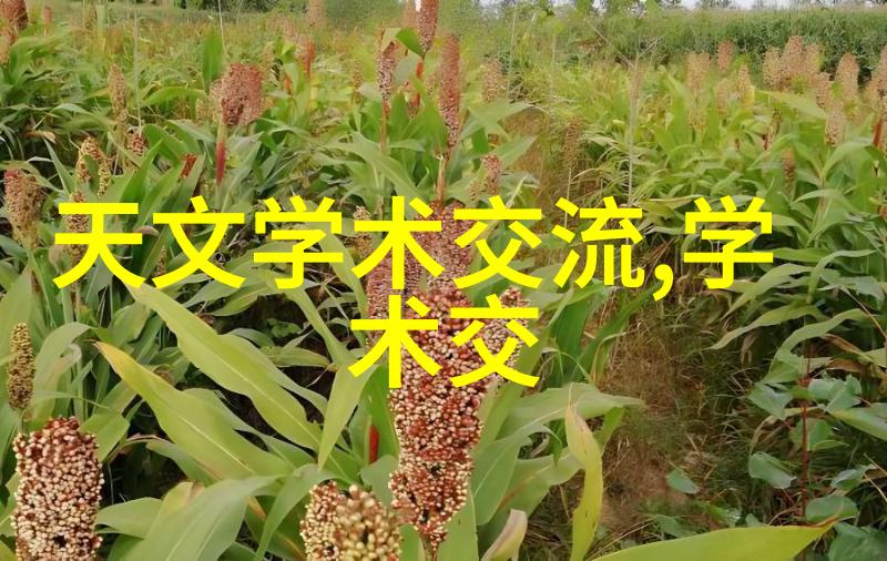 食品辐照杀菌设备-高效无害化食品安全新技术