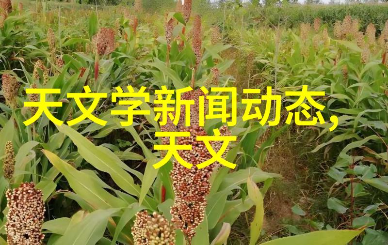 空间之美装修设计师的艺术探索