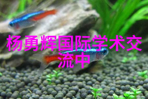 探索光影边界2023年摄影艺术的盛宴