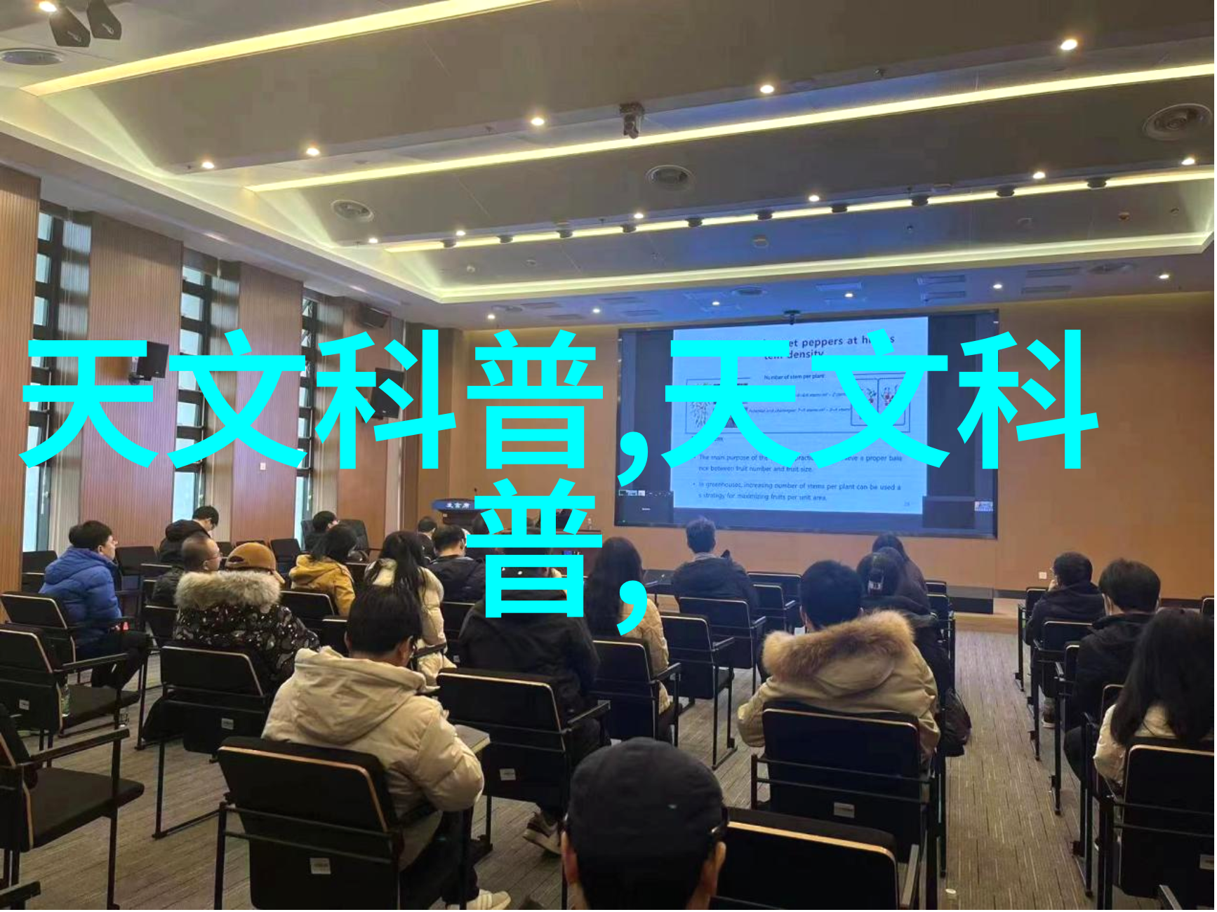 三瓣六瓣填料的安装要求-精确搭配三瓣六瓣填料的完美安置指南