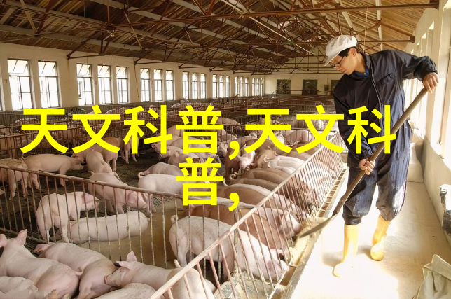 旋转漩涡之力转子泵的抽象之美