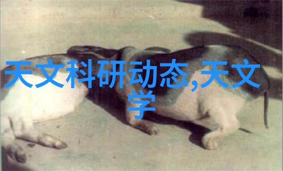 自我的挑战和机遇在哪里我们怎样通过自我总结报告来探索这些问题并制定对策