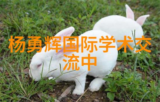 主题我和丝网制品有限公司的故事从一张张精细织物到满足客户需求的奇迹