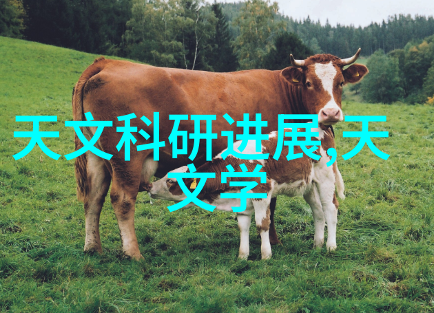 蒸汽之源揭秘蒸汽发生器的神秘力量