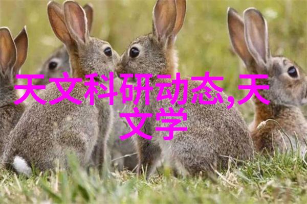 领导下属员工的年度工作表现评估报告及其改进建议
