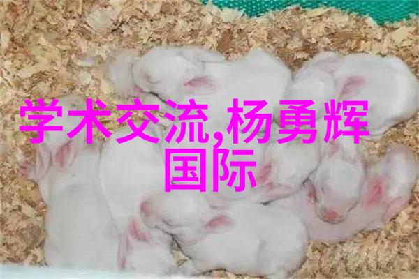 简约风尚房屋简约装修效果图之美学探究