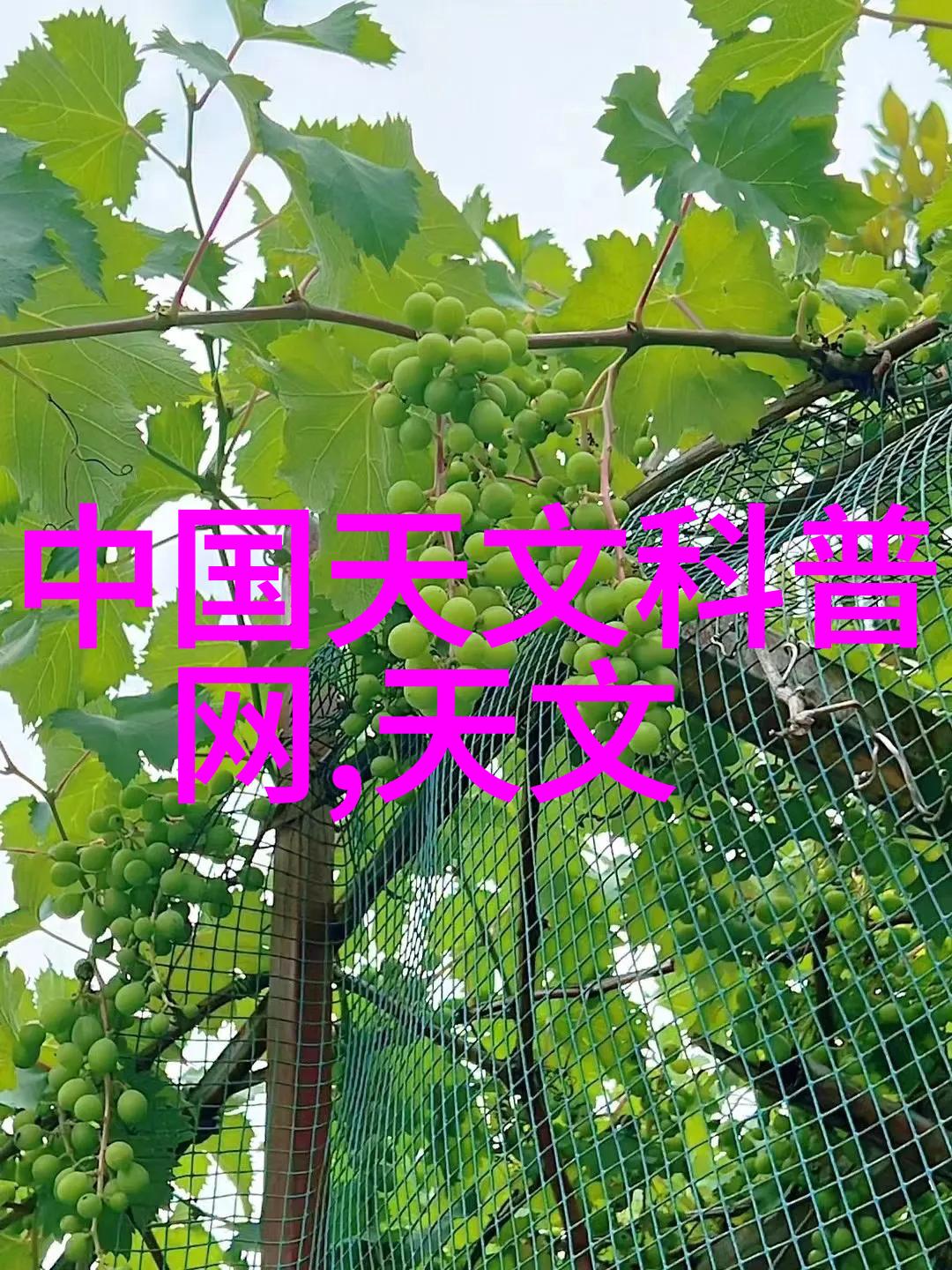 一次成型制砂机高效节能的沙子制造设备