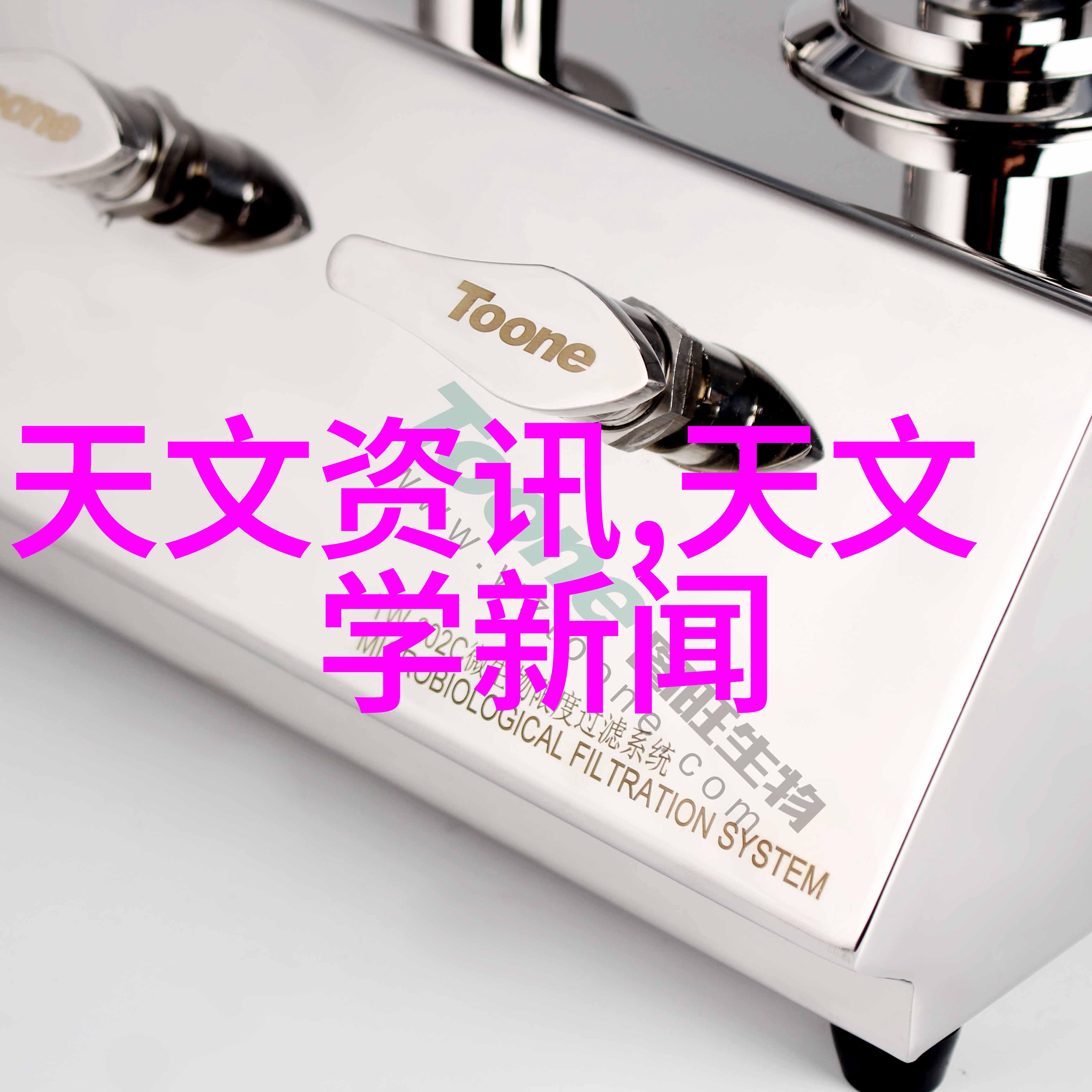 和校草同居的日子爱情友谊与未知的交织