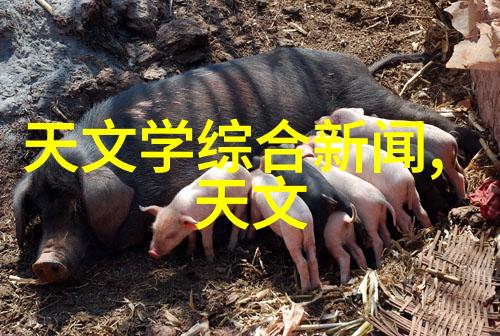 机械工程-螺旋式输送机转动效率的艺术品