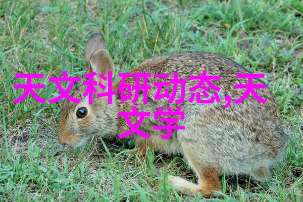 螺旋给料机精准定量高效生产的关键设备