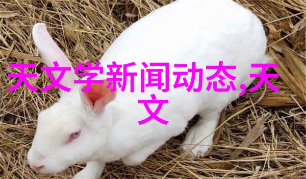设备代号解密揭秘分离器的数字语言