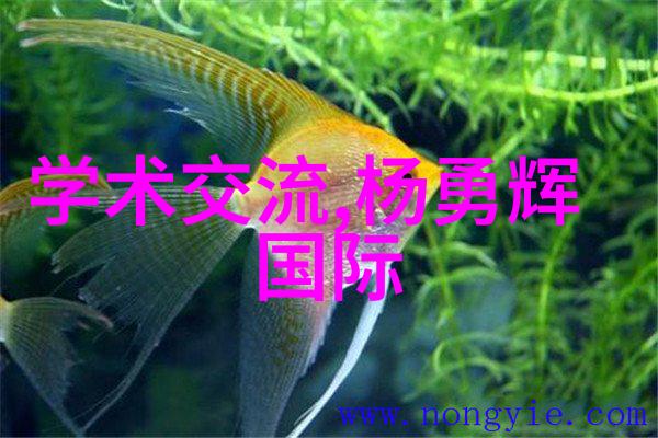 二手房贷款重温梦想的财富之旅