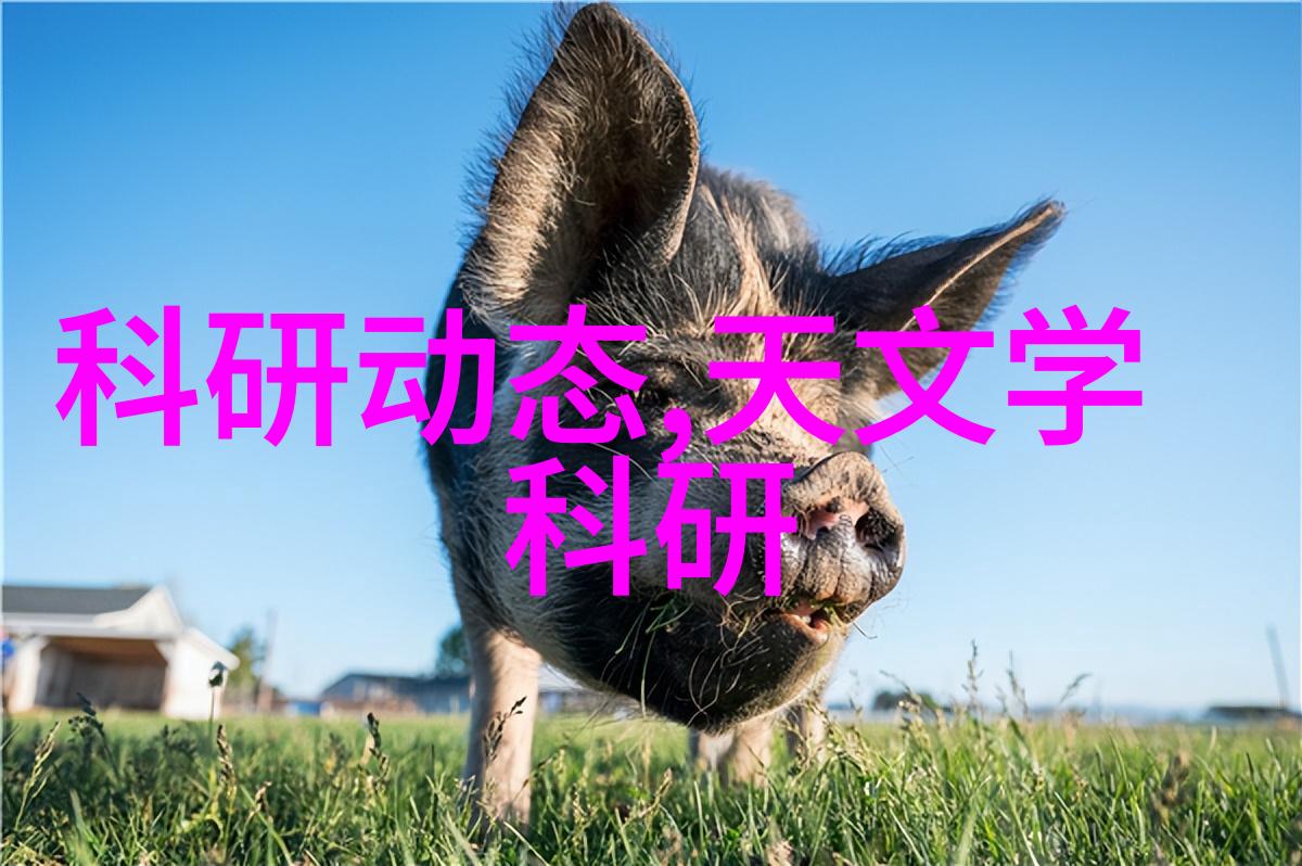 股市笑谈上证红利510880的秘密花园