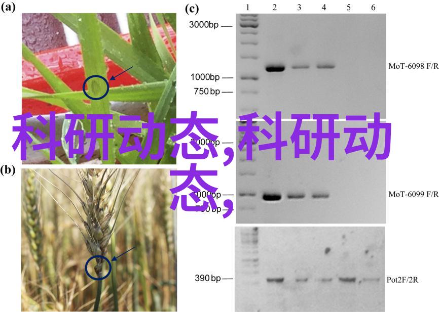 附近不锈钢加工定做电话-精密铸造探索附近不锈钢加工定做电话的艺术与技术