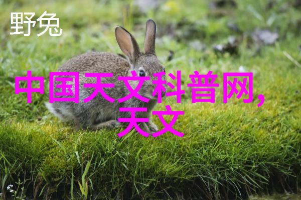 橡胶管软管规格塑造柔韧的未来