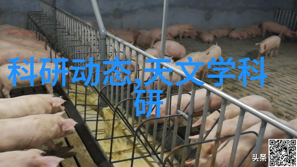 附近报废汽车拆解厂电话-废旧车辆新生拆解工地的回声与未来