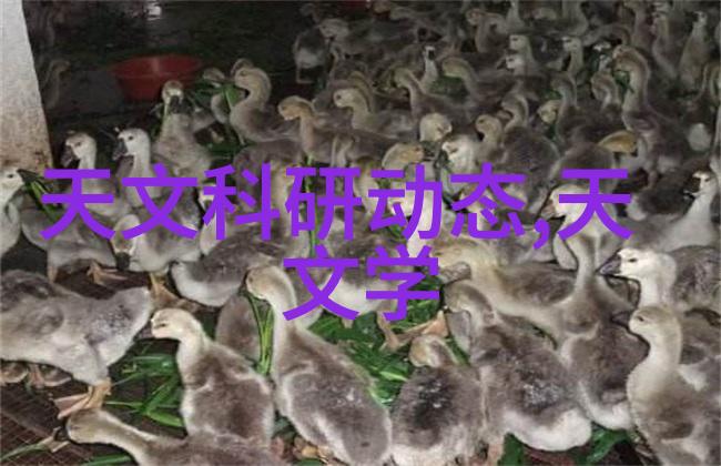 我亲眼见证的骗局中南智能他们是如何欺骗我的