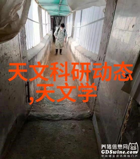 智能手环在运动跟踪中的精确度测试