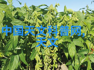 家庭装修公司家居装修我是如何在这个周末把客厅从暗淡变成明亮的