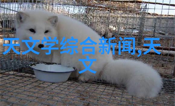 中国电子工业标准化协会我们共同迈向高效能未来