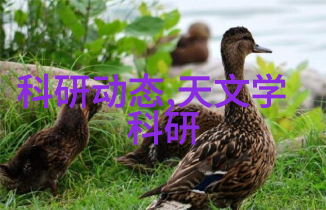 容量大小如何影响实验室所需的纯水机设备选择