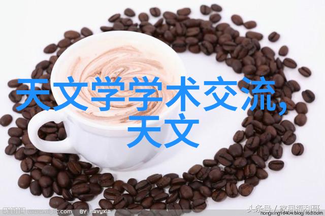 杨勇辉国际学术交流中心利用当前与未来太空任务的日心振动学探索挑战与机遇