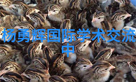 探索附近不锈钢管批发市场价格品质与行业动态全览