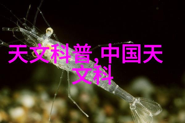 清泉之源水机的神秘力量