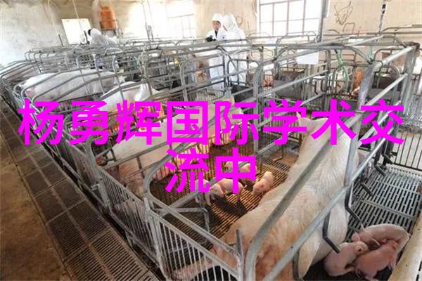 洗衣液加工厂投资多少钱探讨这个热门话题