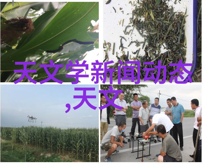 大型中药提取浓缩设备精心制造安全高效的传统医学创新