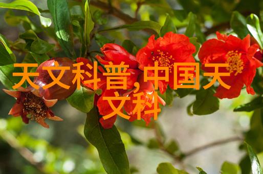 末世之凶兽寂静中的异形与生存的绝境