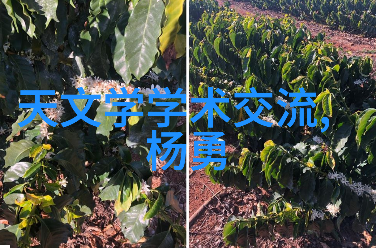 电信前沿智网新纪元的探索者