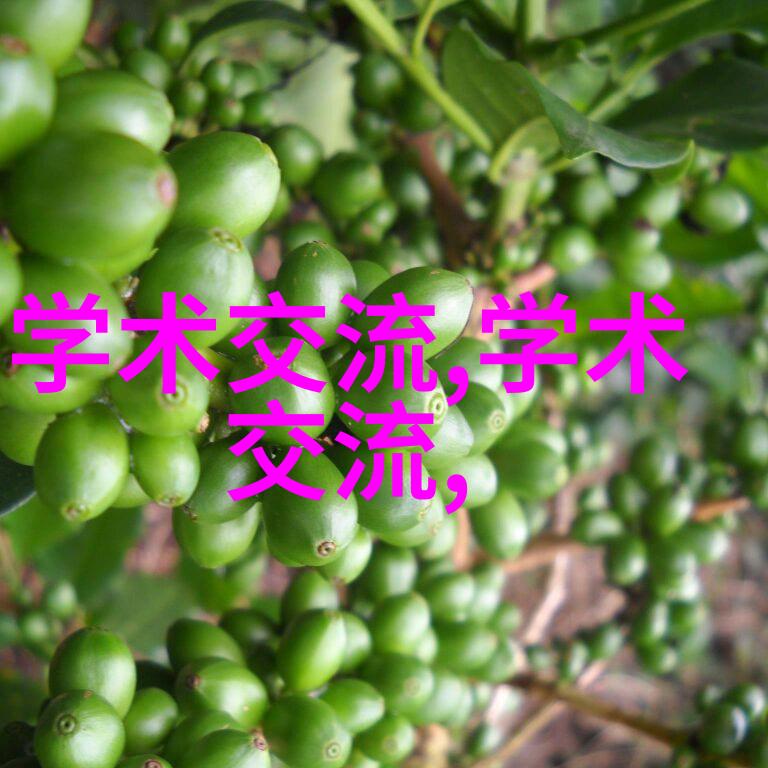 提取浓缩蒸发设备-高效率的液体精馏系统设计与应用