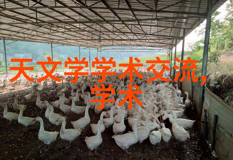 当弱受穿成种马文男猪的逆袭故事强者逆袭弱肉强食穿越小说异世界征服