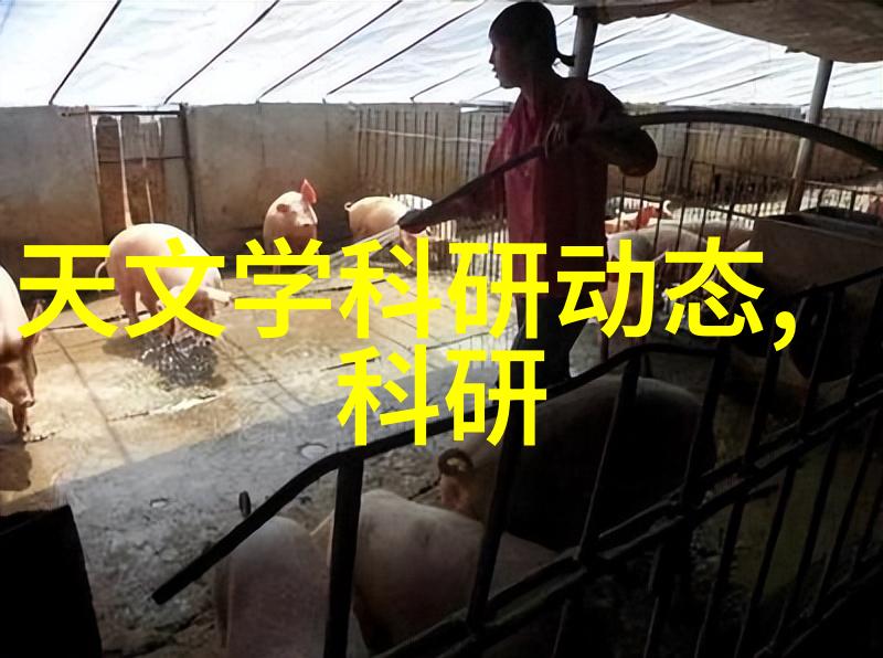 家具布局有哪些技巧可以应用