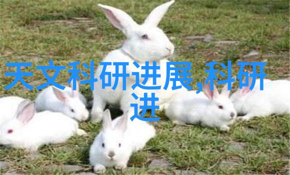智能化技术在粉碎机设备中的应用及其未来趋势分析