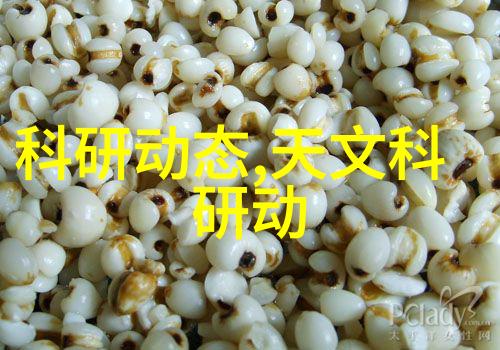 丸剂机械自动化生产线的未来发展趋势