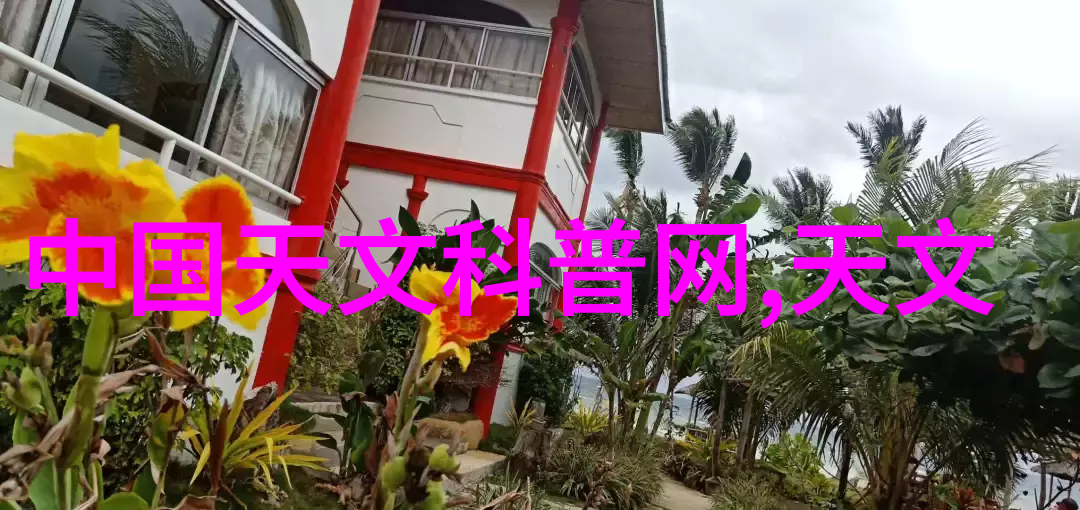 在撰写创业计划书时应该如何评估潜在客户的需求和偏好