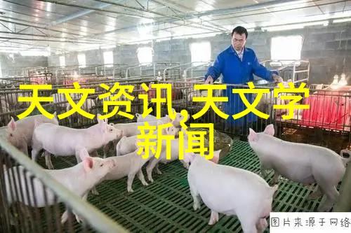 水净化设备的重要性与应用