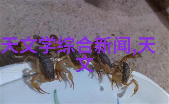 郑州工业应用技术学院工匠精神与科技创新融合的殿堂