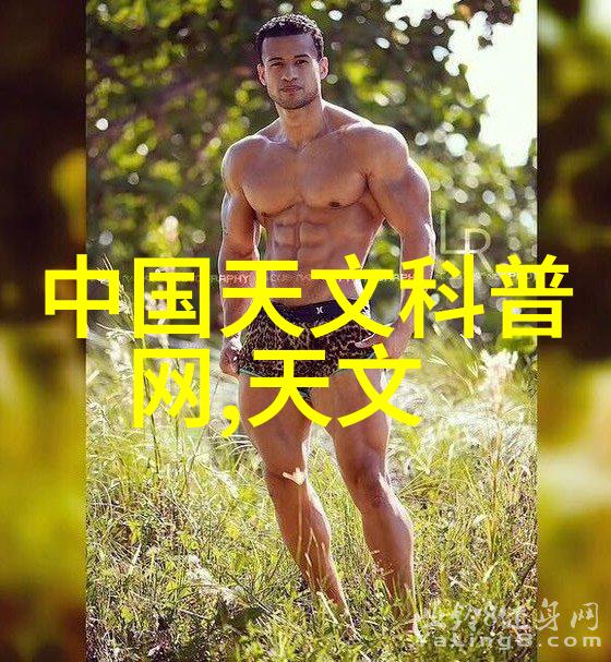 鲍尔环与规整填料的应用艺术