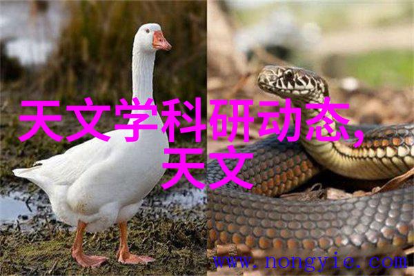 微波真空干燥设备-高效率低能耗的现代食品干燥技术革新
