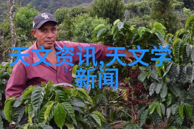 小型化智能化实验室选矿设备的新发展