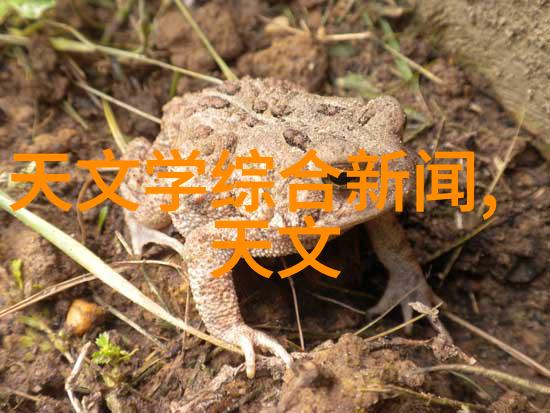 家居装饰-客厅装修效果图大全创意灵感满满的室内设计风格