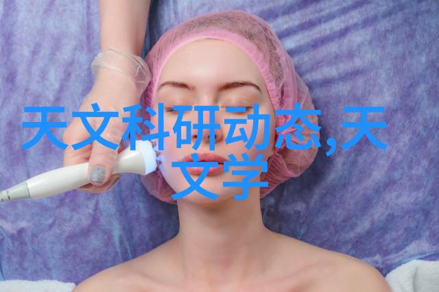第五届中法学者高端论坛举行